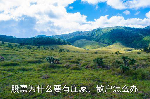 股票為什么要有莊家，散戶怎么辦