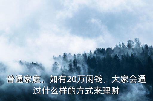 普通家庭，如有20萬閑錢，大家會通過什么樣的方式來理財(cái)