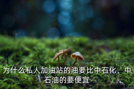 為什么私人加油站的油要比中石化、中石油的要便宜