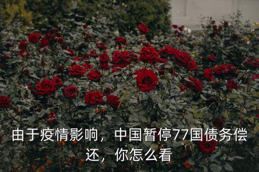 由于疫情影響，中國暫停77國債務(wù)償還，你怎么看