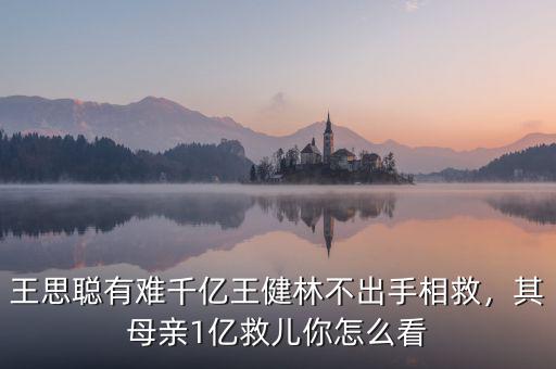 王思聰有難千億王健林不出手相救，其母親1億救兒你怎么看