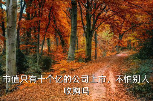 市值只有十個(gè)億的公司上市，不怕別人收購(gòu)嗎