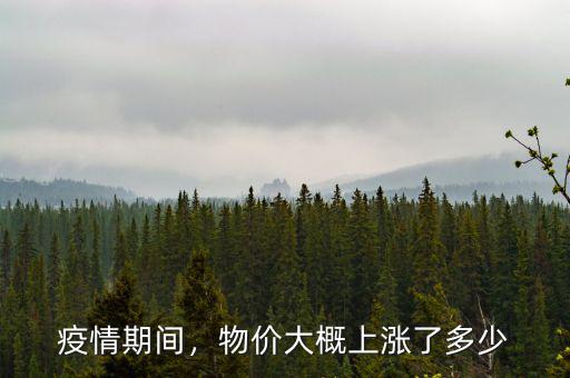 疫情期間，物價大概上漲了多少
