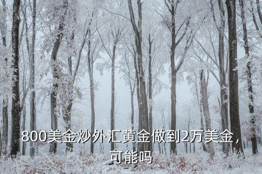 800美金炒外匯黃金做到2萬美金，可能嗎