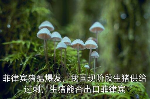 菲律賓豬瘟爆發(fā)，我國現(xiàn)階段生豬供給過剩，生豬能否出口菲律賓