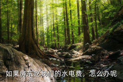 如果房東吃我們的水電費(fèi)，怎么辦呢