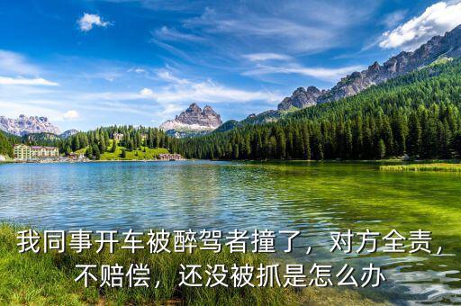 我同事開(kāi)車(chē)被醉駕者撞了，對(duì)方全責(zé)，不賠償，還沒(méi)被抓是怎么辦