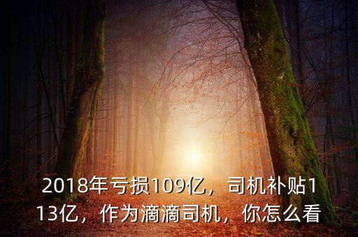 2018年虧損109億，司機(jī)補(bǔ)貼113億，作為滴滴司機(jī)，你怎么看
