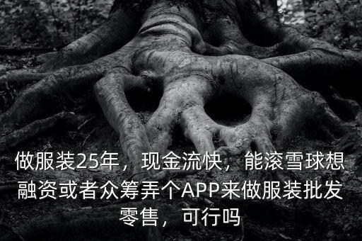 做服裝25年，現(xiàn)金流快，能滾雪球想融資或者眾籌弄個(gè)APP來(lái)做服裝批發(fā)零售，可行嗎
