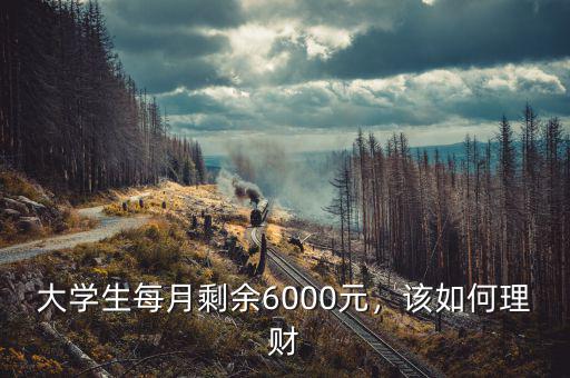大學(xué)生每月剩余6000元，該如何理財(cái)