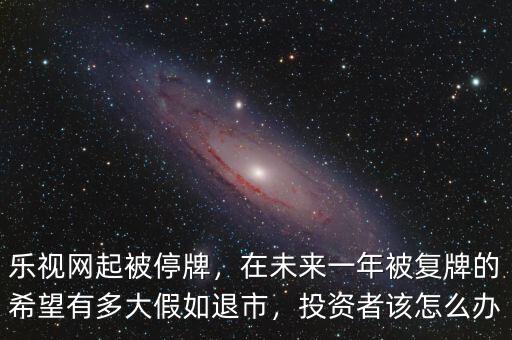 樂視網(wǎng)起被停牌，在未來一年被復牌的希望有多大假如退市，投資者該怎么辦