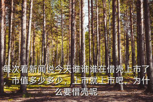 為什么要買(mǎi)殼上市,而是要借殼上市