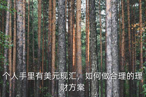 個(gè)人手里有美元現(xiàn)匯，如何做合理的理財(cái)方案