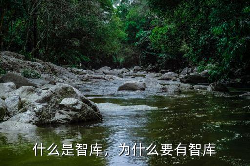 什么是智庫，為什么要有智庫