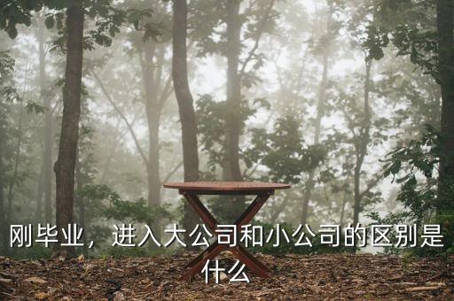 剛畢業(yè)，進(jìn)入大公司和小公司的區(qū)別是什么