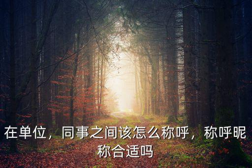 在單位，同事之間該怎么稱呼，稱呼昵稱合適嗎