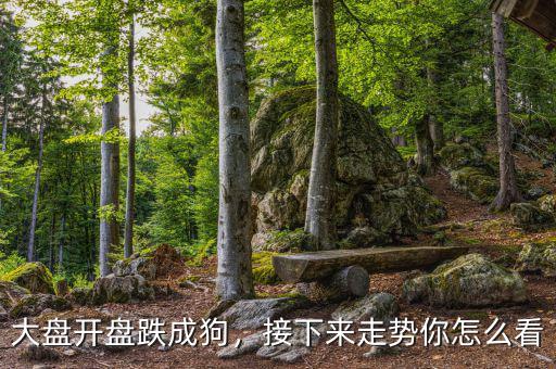 跌成狗是什么意思,大盤開(kāi)盤跌成狗