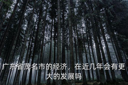 廣東省茂名市的經(jīng)濟(jì)，在近幾年會(huì)有更大的發(fā)展嗎