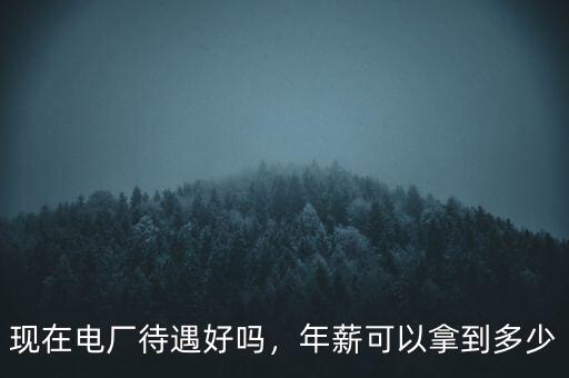 現(xiàn)在電廠待遇好嗎，年薪可以拿到多少