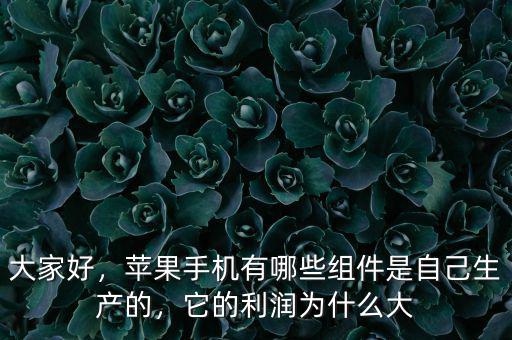 大家好，蘋果手機(jī)有哪些組件是自己生產(chǎn)的，它的利潤(rùn)為什么大