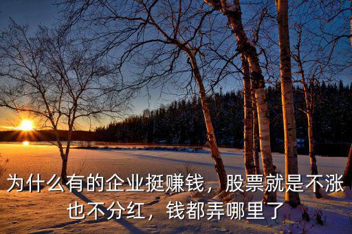 為什么有的企業(yè)挺賺錢，股票就是不漲也不分紅，錢都弄哪里了