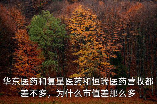 華東醫(yī)藥和復星醫(yī)藥和恒瑞醫(yī)藥營收都差不多，為什么市值差那么多