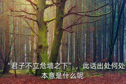 “君子不立危墻之下”，此話出處何處本意是什么呢