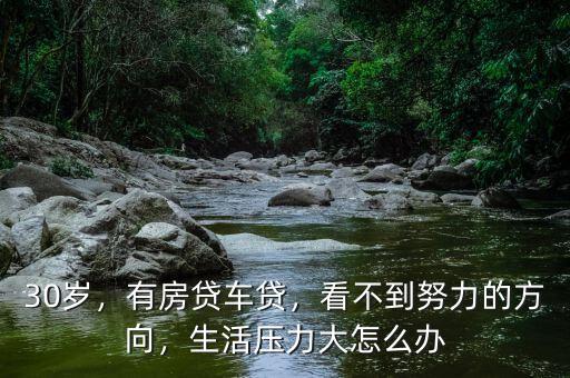 30歲，有房貸車貸，看不到努力的方向，生活壓力大怎么辦