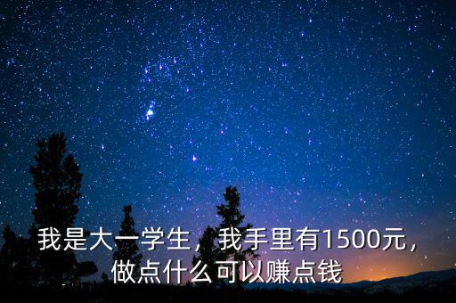 我是大一學生，我手里有1500元，做點什么可以賺點錢