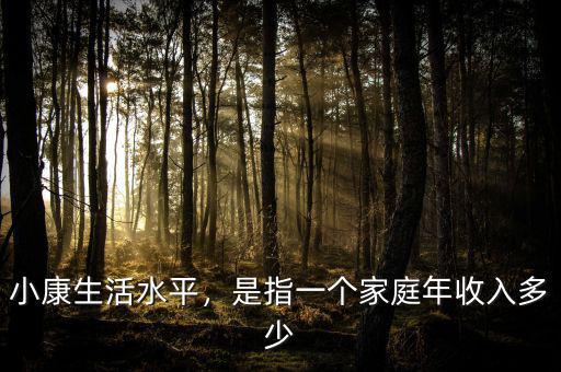 小康生活水平，是指一個家庭年收入多少