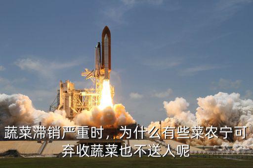 蔬菜滯銷嚴重時，為什么有些菜農寧可棄收蔬菜也不送人呢