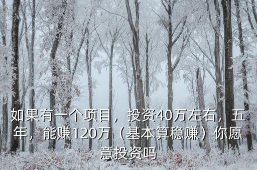 如果有一個項目，投資40萬左右，五年，能賺120萬（基本算穩(wěn)賺）你愿意投資嗎