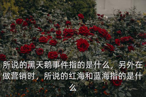 所說的黑天鵝事件指的是什么，另外在做營銷時，所說的紅海和藍(lán)海指的是什么