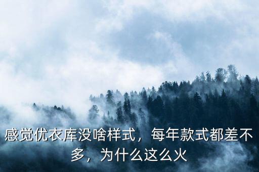 感覺優(yōu)衣庫沒啥樣式，每年款式都差不多，為什么這么火