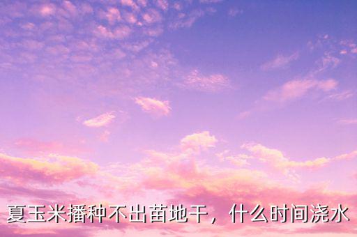 夏玉米播種不出苗地干，什么時(shí)間澆水