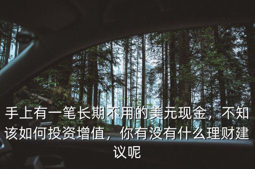 手上有一筆長期不用的美元現(xiàn)金，不知該如何投資增值，你有沒有什么理財建議呢