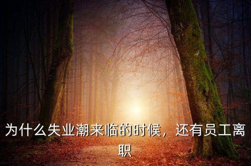 為什么失業(yè)潮來臨的時(shí)候，還有員工離職