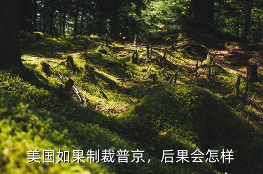 美國(guó)如果制裁普京，后果會(huì)怎樣