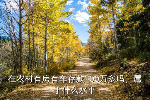 在農(nóng)村有房有車存款100萬多嗎，屬于什么水平