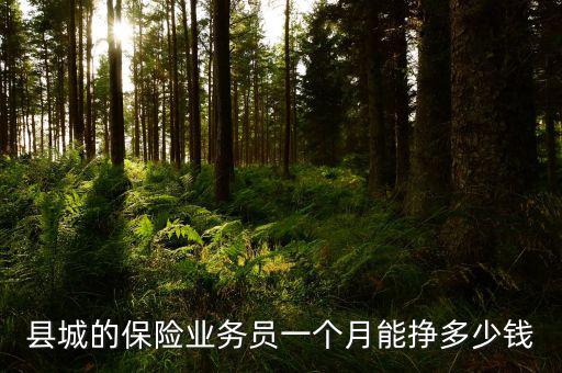 縣城的保險(xiǎn)業(yè)務(wù)員一個(gè)月能掙多少錢