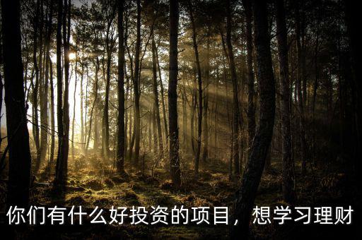 你們有什么好投資的項目，想學習理財