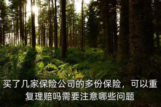 買了幾家保險(xiǎn)公司的多份保險(xiǎn)，可以重復(fù)理賠嗎需要注意哪些問題
