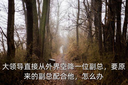 大領(lǐng)導(dǎo)直接從外界空降一位副總，要原來的副總配合他，怎么辦