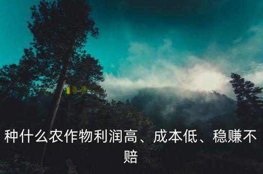 種什么農(nóng)作物利潤高、成本低、穩(wěn)賺不賠