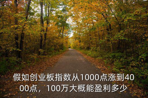 假如創(chuàng)業(yè)板指數(shù)從1000點(diǎn)漲到4000點(diǎn)，100萬大概能盈利多少