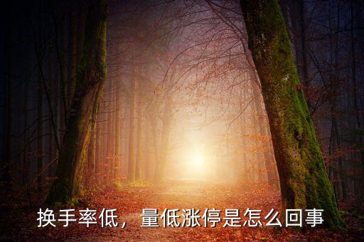 換手率低，量低漲停是怎么回事