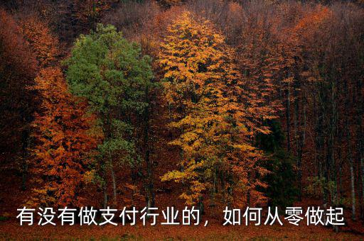 支付行業(yè)怎么賺錢(qián),支付行業(yè)是如何賺錢(qián)的呢