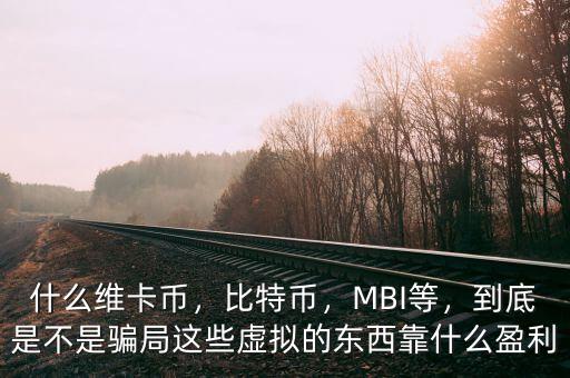 什么維卡幣，比特幣，MBI等，到底是不是騙局這些虛擬的東西靠什么盈利
