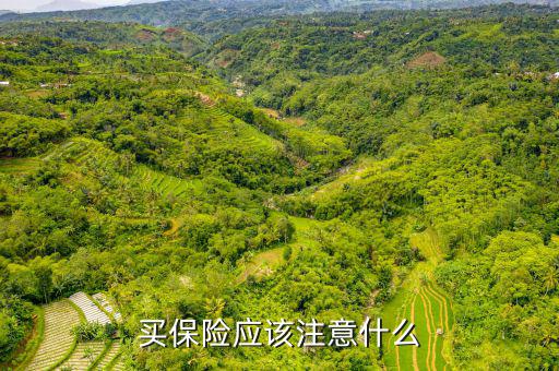 上保險(xiǎn)注意什么,買保險(xiǎn)時(shí)要注意什么問(wèn)題