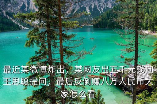 最近某微博炸出，某網(wǎng)友出五千元錢向王思聰提問，最后反倒賺八萬人民幣大家怎么看